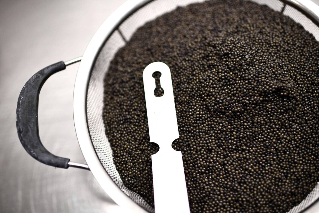 Caviar barato tem tanta graça quanto o filé de tilápia – 29/04/2025 – Cozinha Bruta