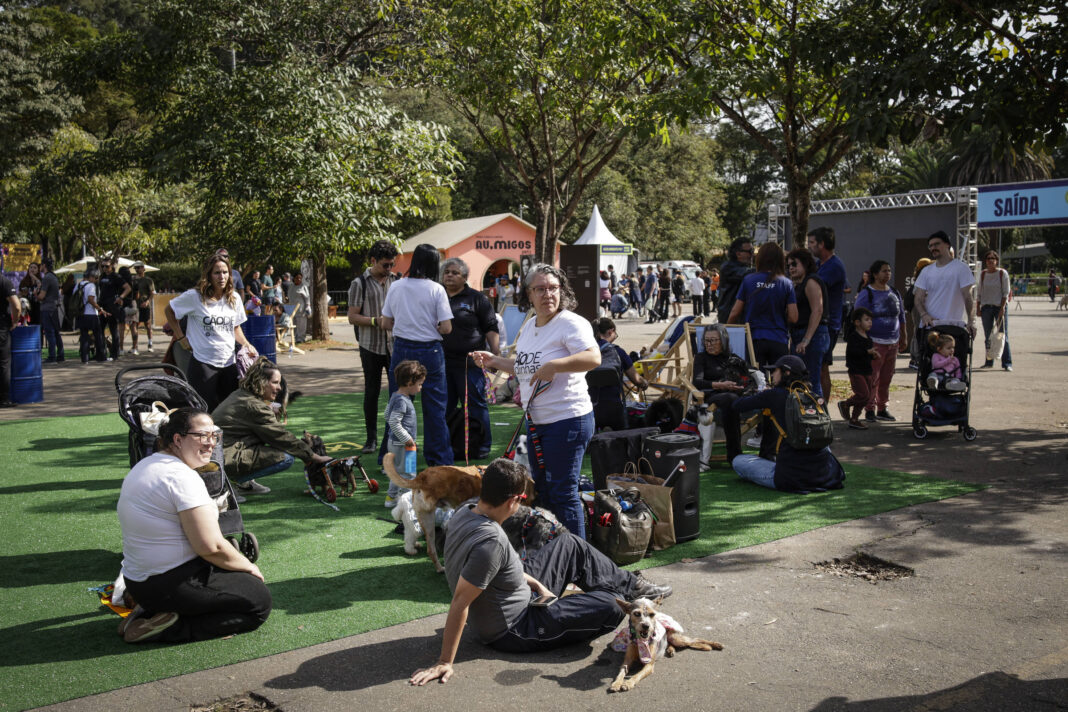Governo de SP intensifica castrações em aceno à causa pet – 14/01/2026 – Painel