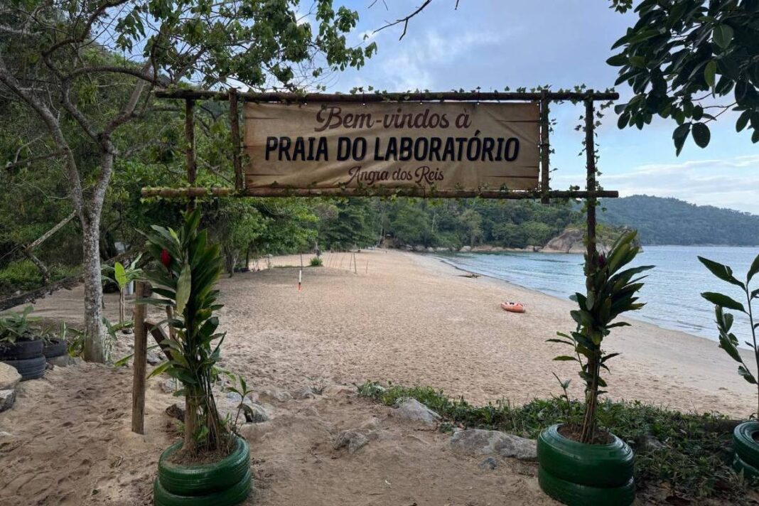 Praia em Angra (RJ) tem água aquecida por usinas nucleares – 03/01/2026 – Cotidiano