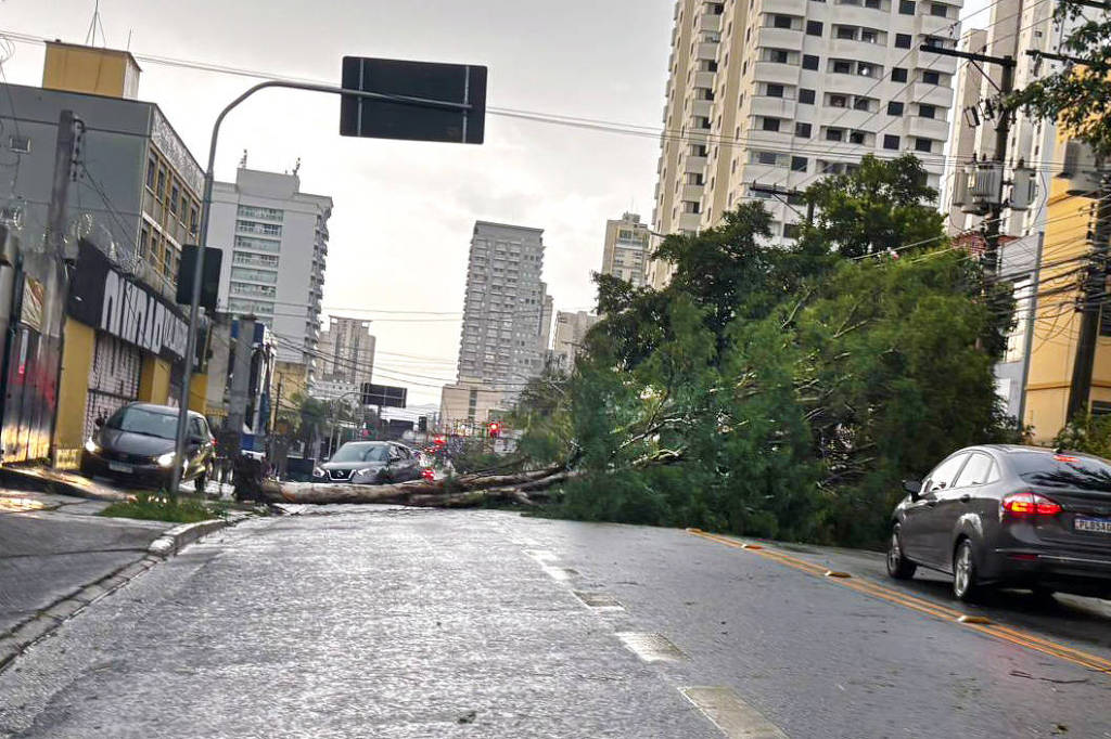 Previsão do tempo:Frente fria traz chuva a SP na sexta (2) – 02/01/2026 – Cotidiano
