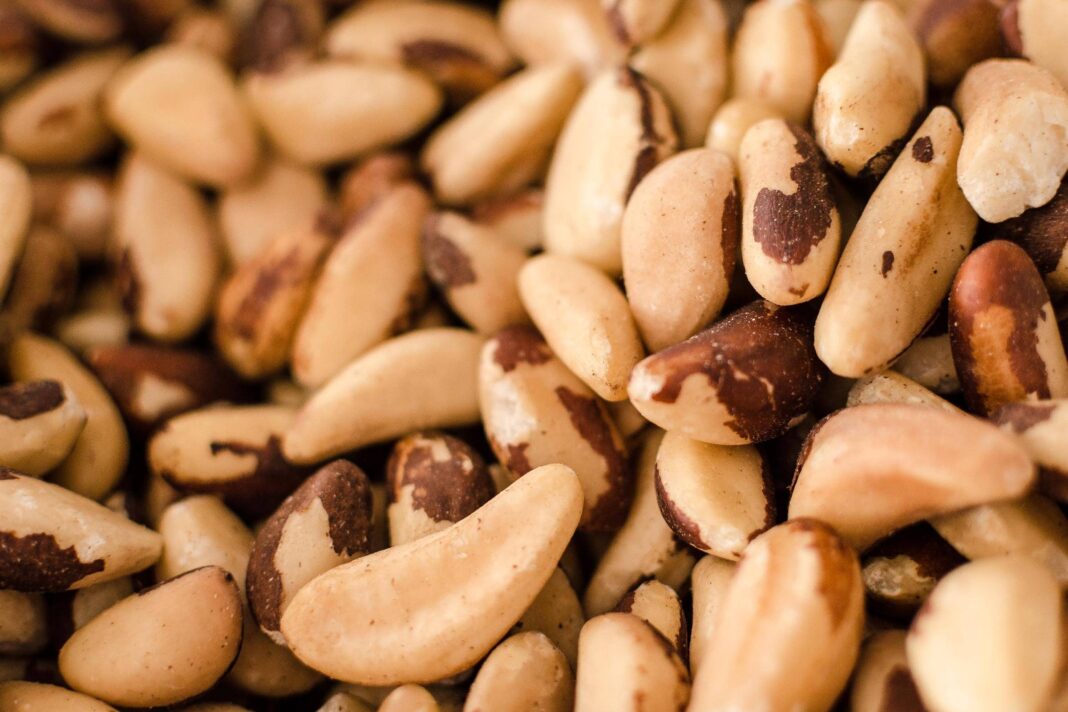 Mitos e verdades sobre suplementação com selênio – 03/01/2026 – Equilíbrio