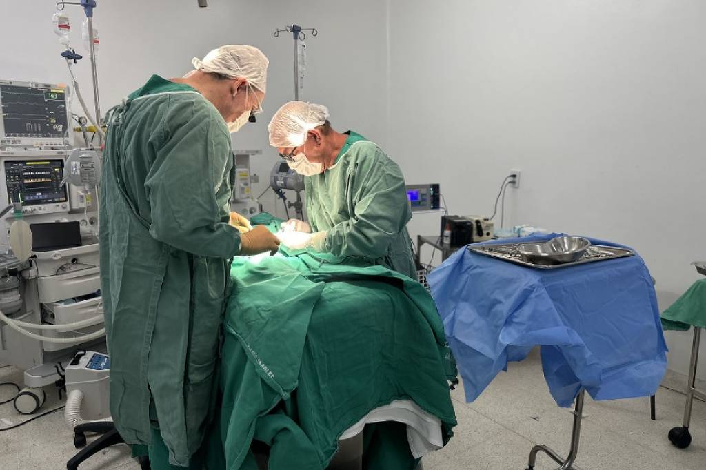 Gêmeos siameses morrem após cirurgia em Goiânia – 08/01/2026 – Equilíbrio e Saúde