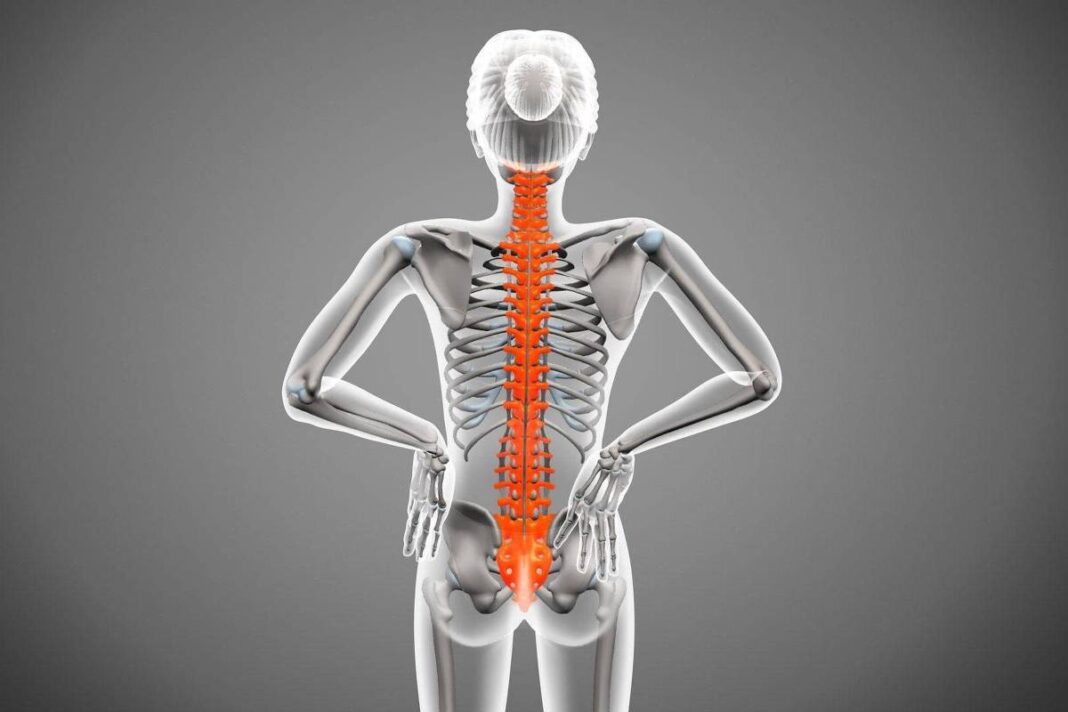 Como conviver com dor nas costas e aliviar os sintomas – 11/01/2026 – Equilíbrio