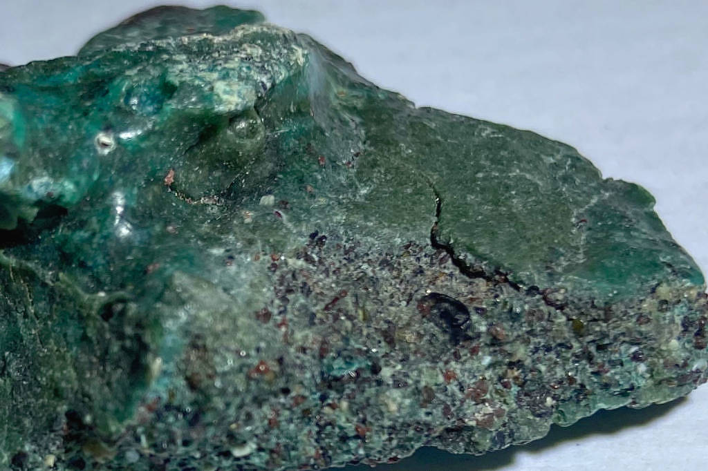 Ninhos de tartaruga soterram ‘rocha de plástico’ – 13/01/2026 – Ambiente