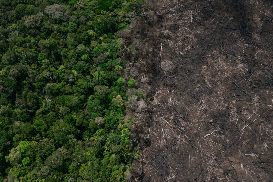 Desmatamento na amazônia eleva calor em 3°C durante a seca – 21/01/2026 – Ambiente