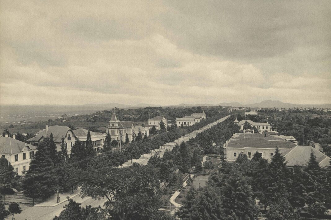 Avenida Paulista é tema de exposição grátis em SP – 22/01/2026 – Passeios