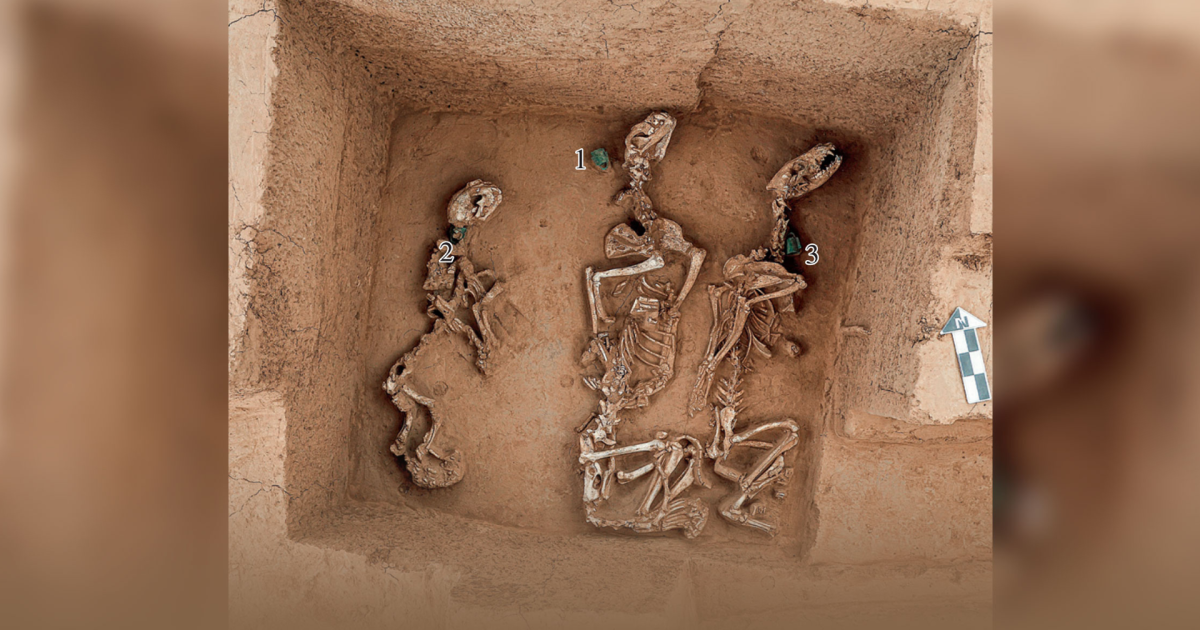 Resto de antigo “zoológico” com animais de 3 mil anos é encontrado na China