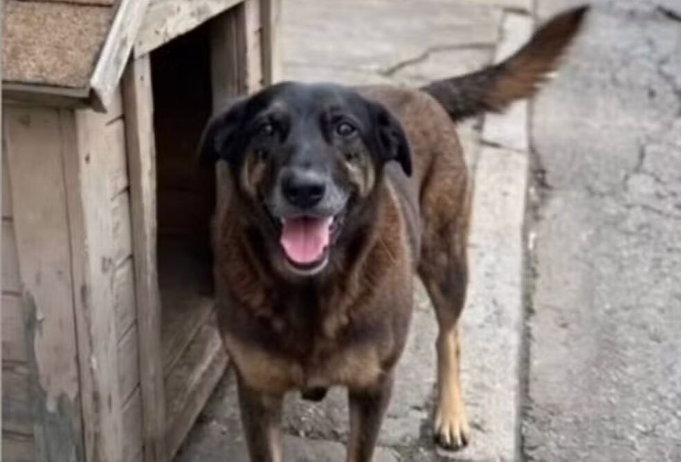a maioridade penal de volta ao centro do debate