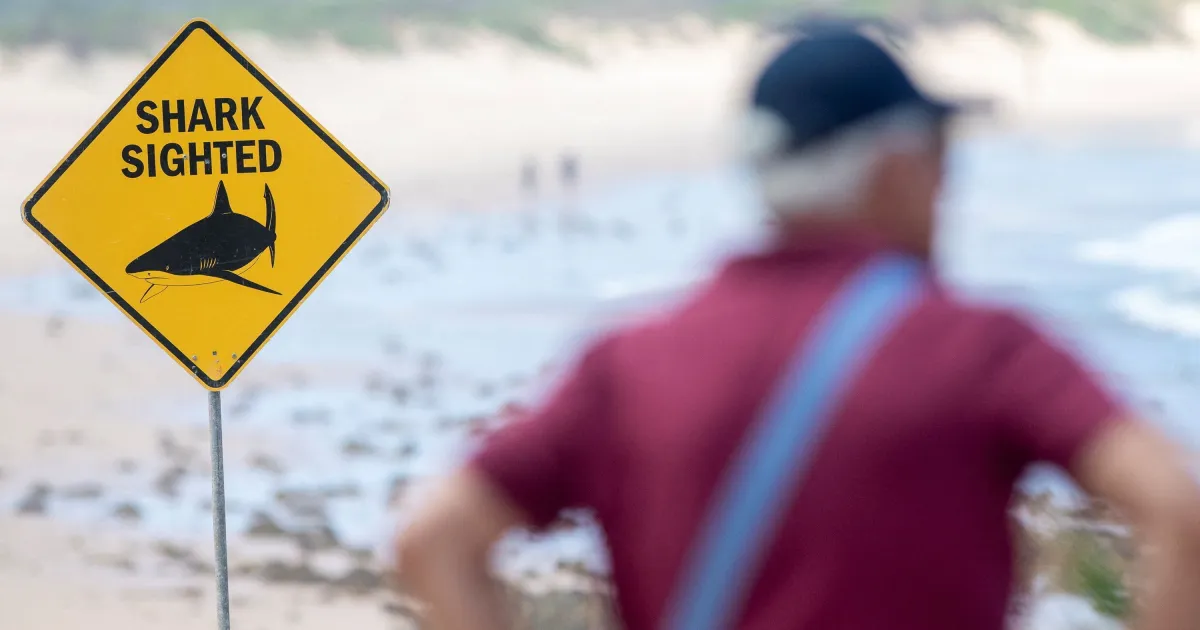 Praias de Sydney são fechadas após três ataques de tubarão em 26 horas