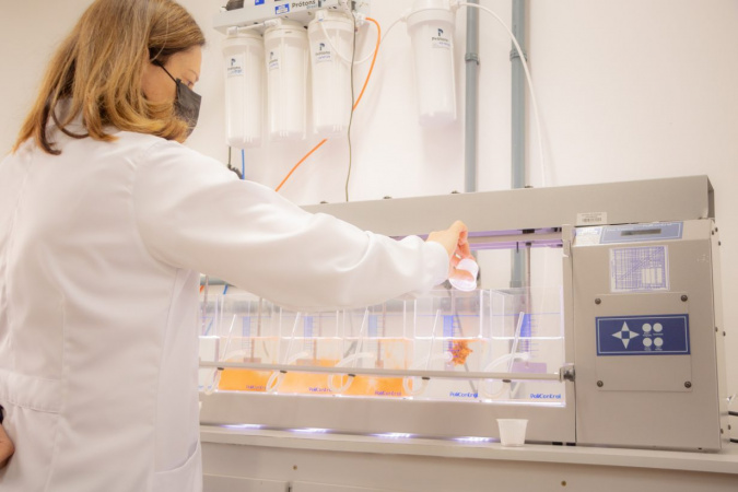 Universidades estaduais ampliam número de programas bem avaliados pela Capes