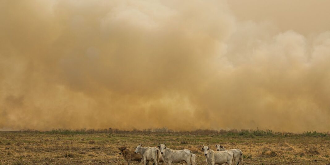 Janeiro tem número de focos de calor duas vezes maior que a média