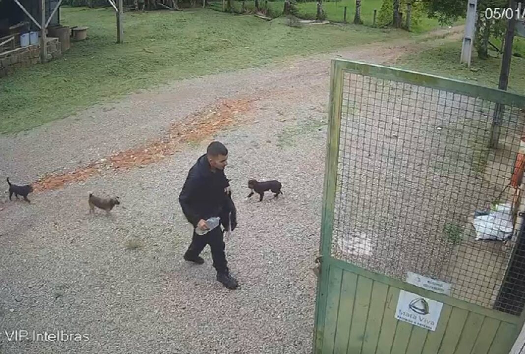 Vídeo mostra o momento em que jovem desaparecido chega à fazenda