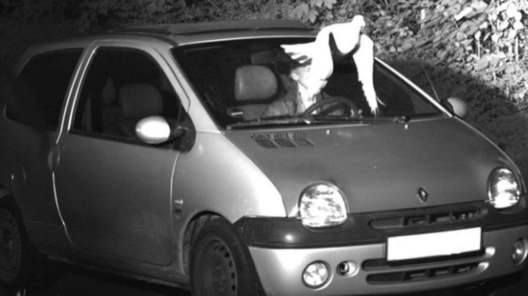 Pombo livra motorista de ser multado por excesso de velocidade na Alemanha