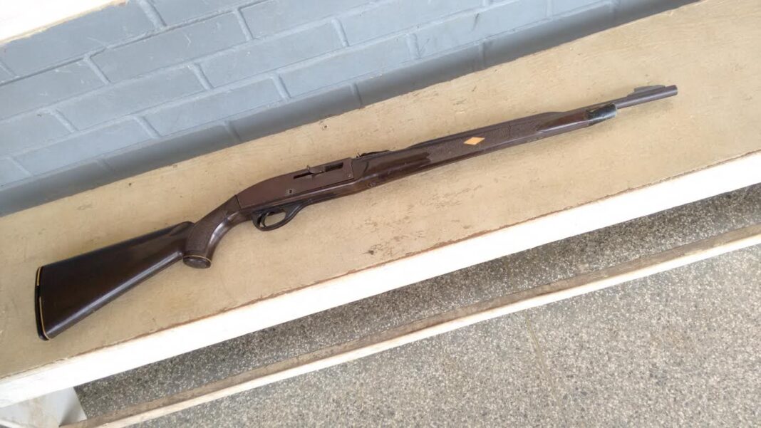 Alemão perde licença de arma após 'levar tiro' do próprio cão