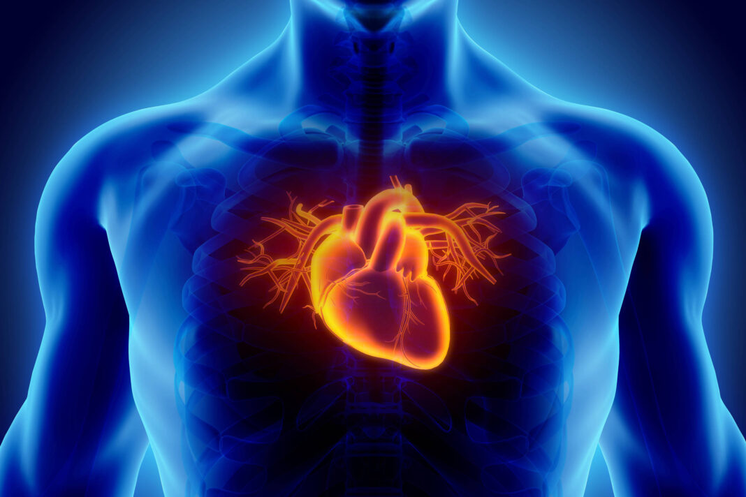 Depressão e ansiedade aumentam o risco de infarto e AVC – 18/02/2026 – Equilíbrio e Saúde