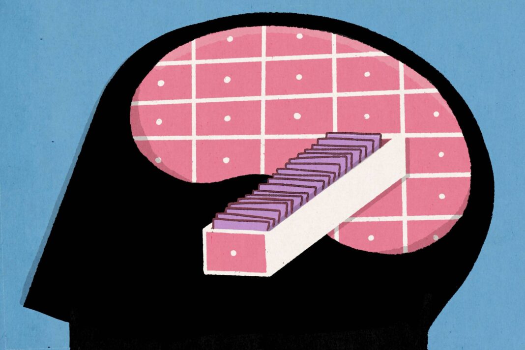 Como melhorar a memória e evitar esquecimentos – 03/02/2026 – Equilíbrio