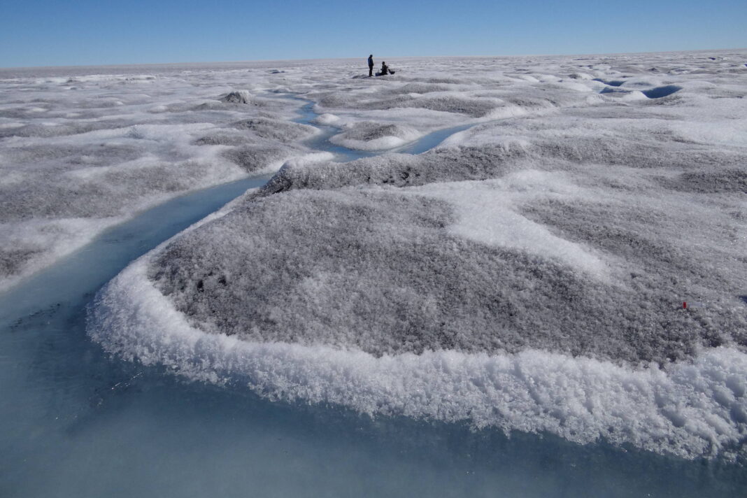 Algas escuras estão acelerando derretimento da Groenlândia – 02/02/2026 – Ambiente