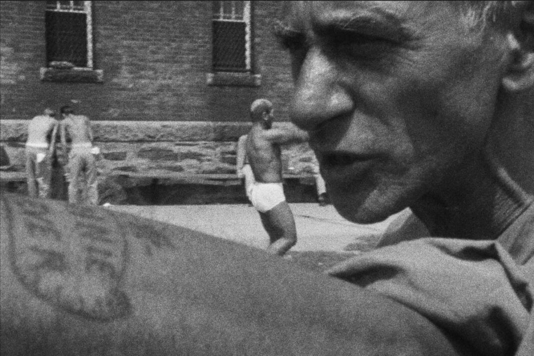 Frederick Wiseman fez cinema das dores da vida coletiva – 17/02/2026 – Ilustrada