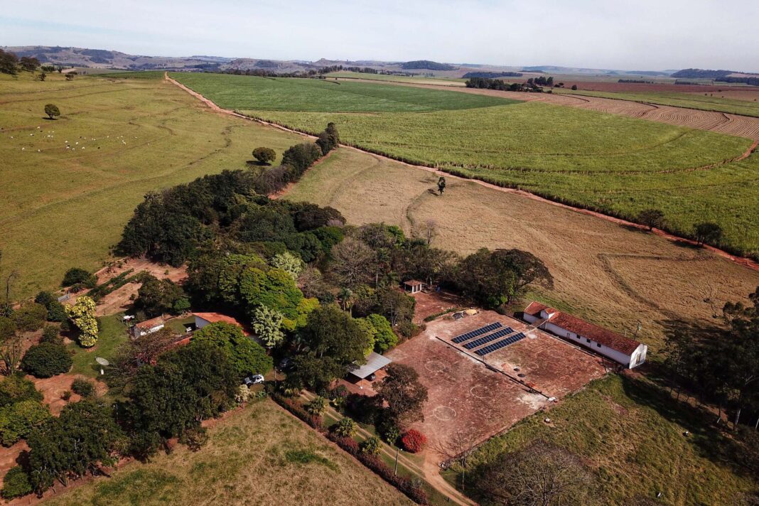 TRF4 garante Código Florestal na Mata Atlântica do Paraná