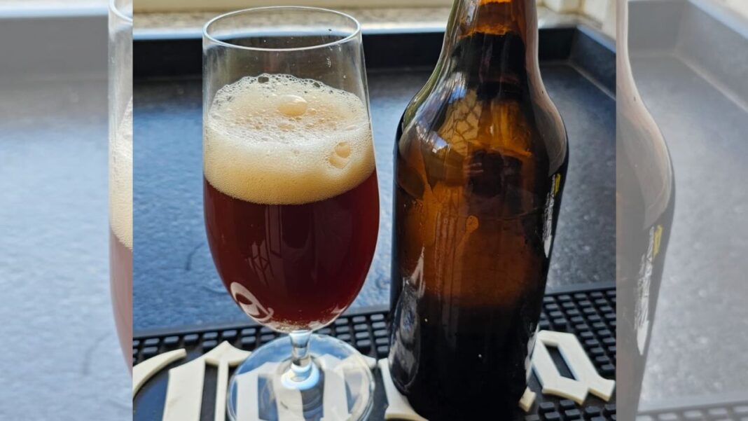 Como pesquisadores criaram cerveja a partir de dejetos de suínos