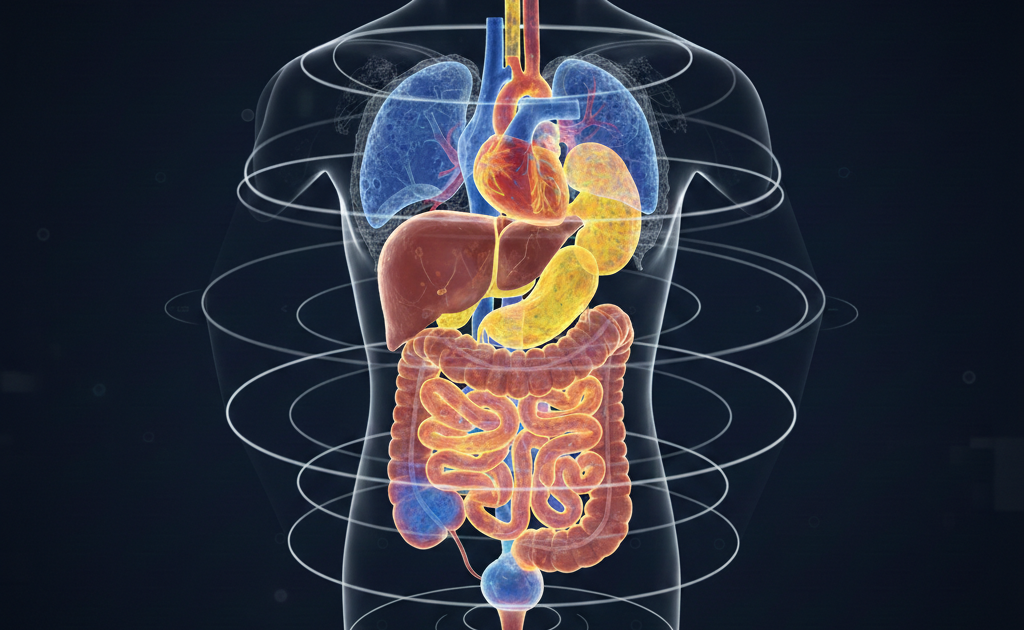 Cientistas desenvolvem exame que revela corpo humano em 3D e cores