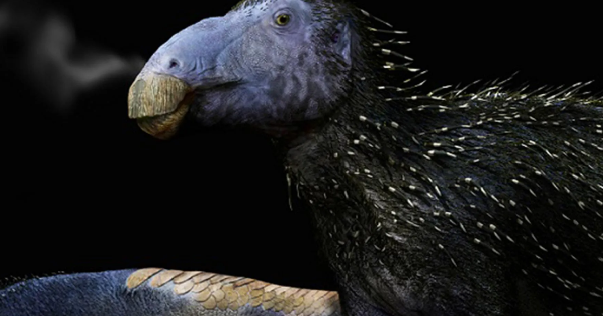Dinossauro com espinhos ocos nunca antes visto é descoberto na China