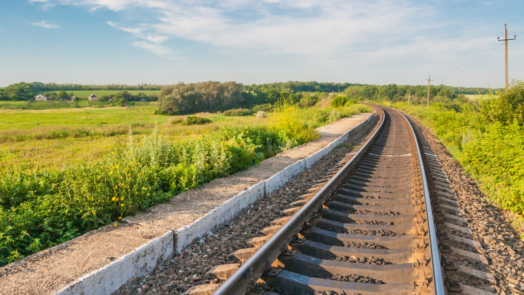 Universidade Federal do Paraná