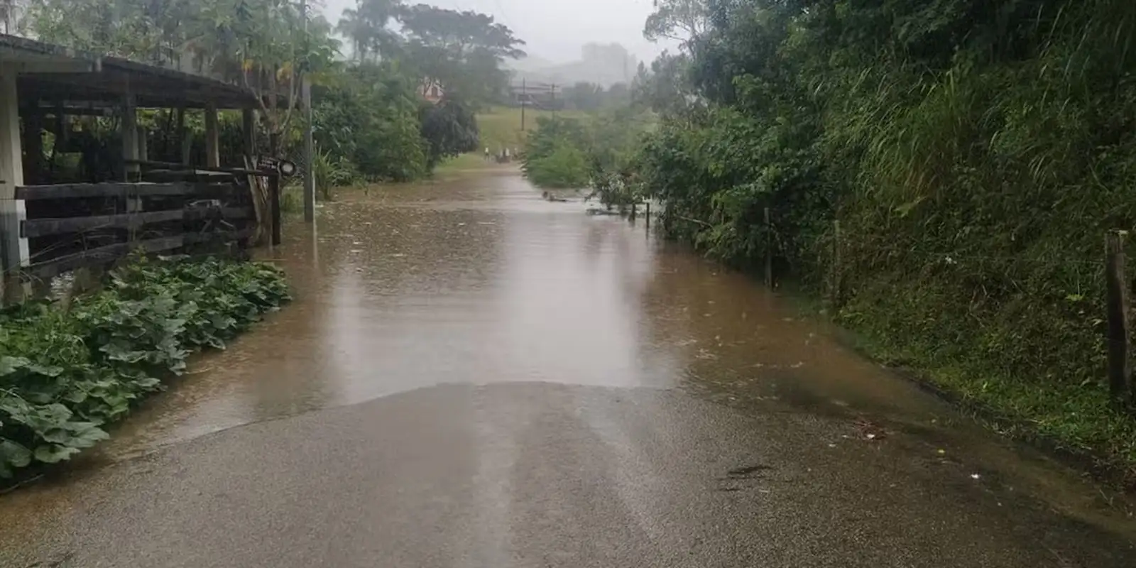Tempestade mata um homem em Natividade da Serra; SP já soma 19 mortes