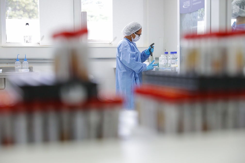 Reprodução assistida com gametas doados cria riscos silenciosos