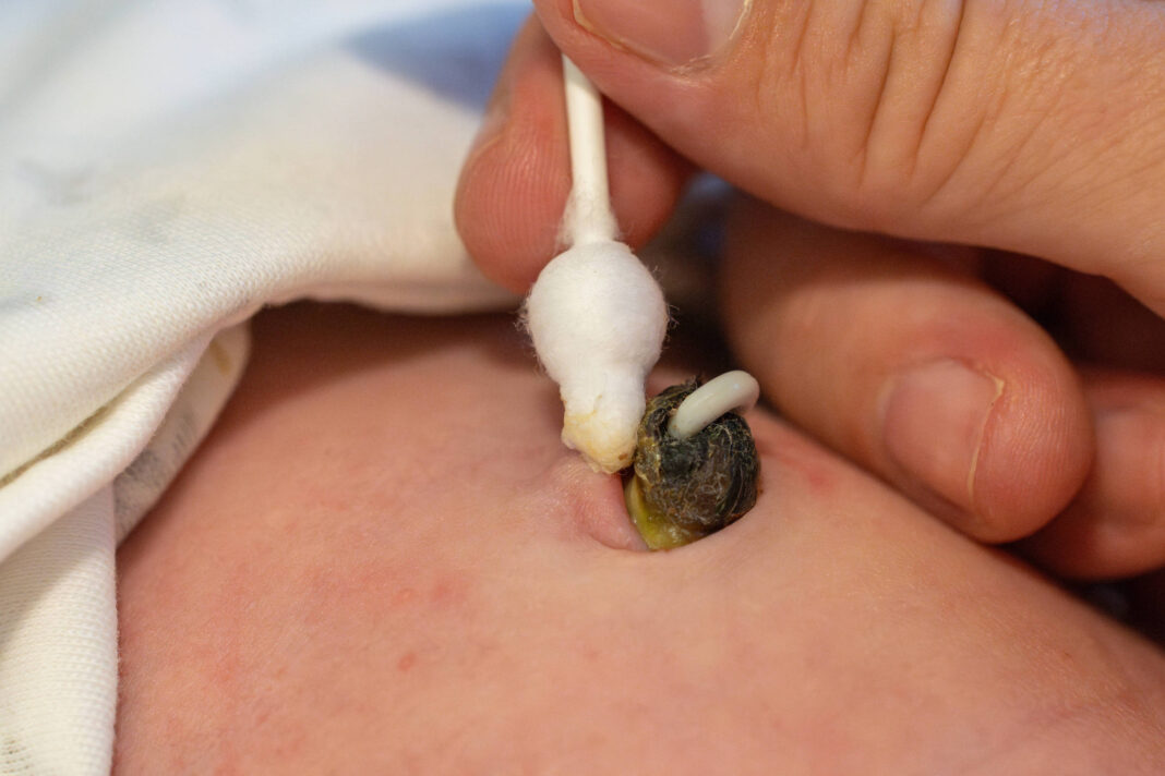 Os riscos de guardar e consumir tecido humano – 12/03/2026 – Equilíbrio e Saúde