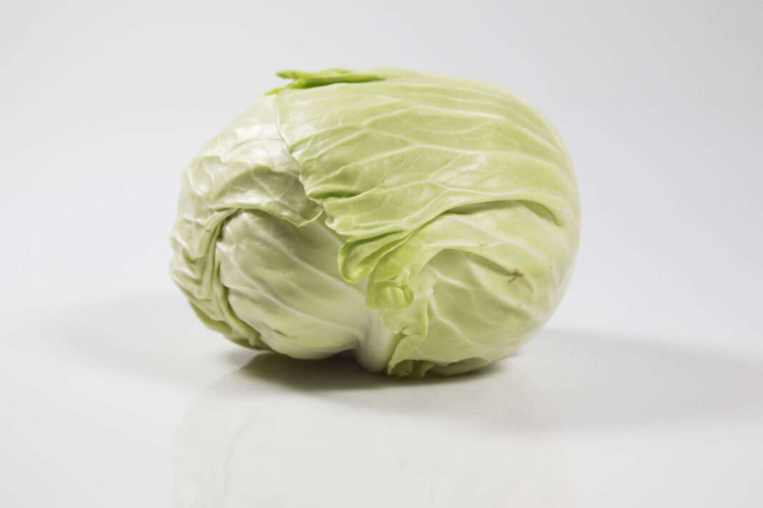 Repolho é rico em vitaminas e faz bem ao intestino; entenda – 17/03/2026 – Equilíbrio