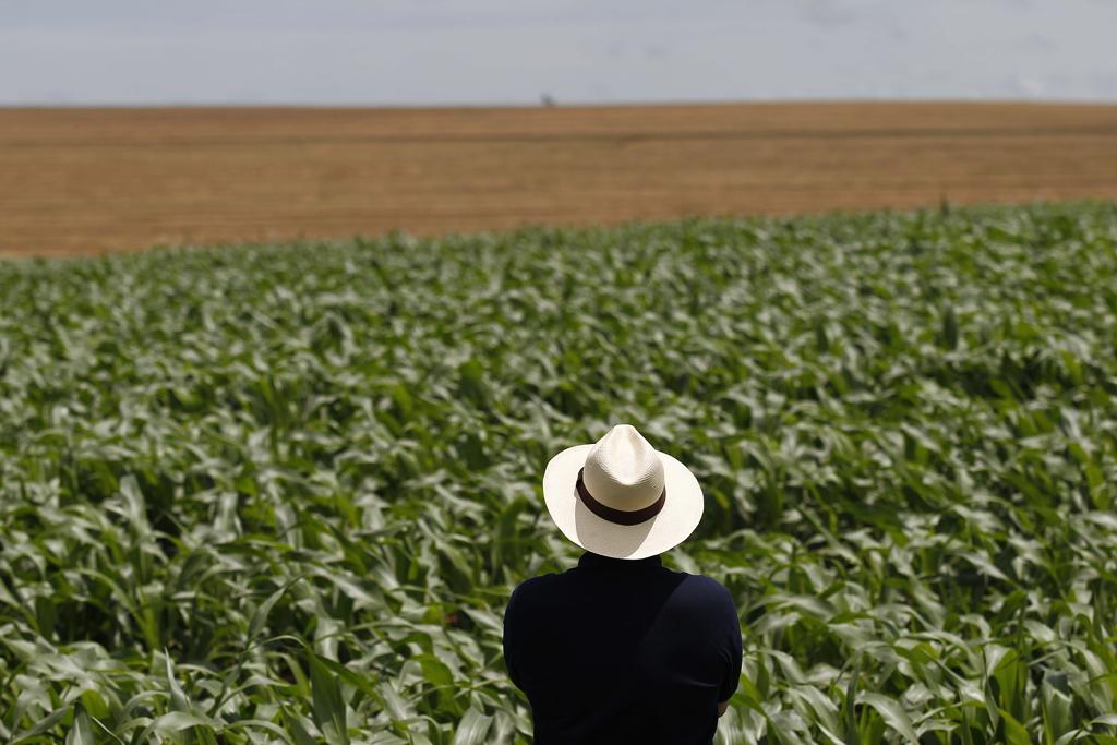 Como o conflito no Oriente Médio afeta o agro brasileiro
