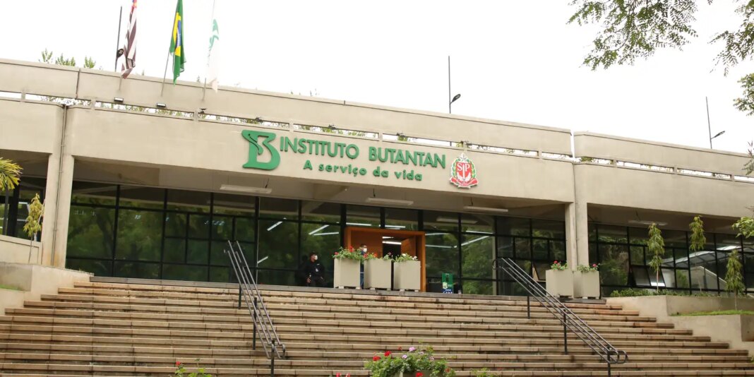 Butantan produzirá remédio contra câncer para o SUS