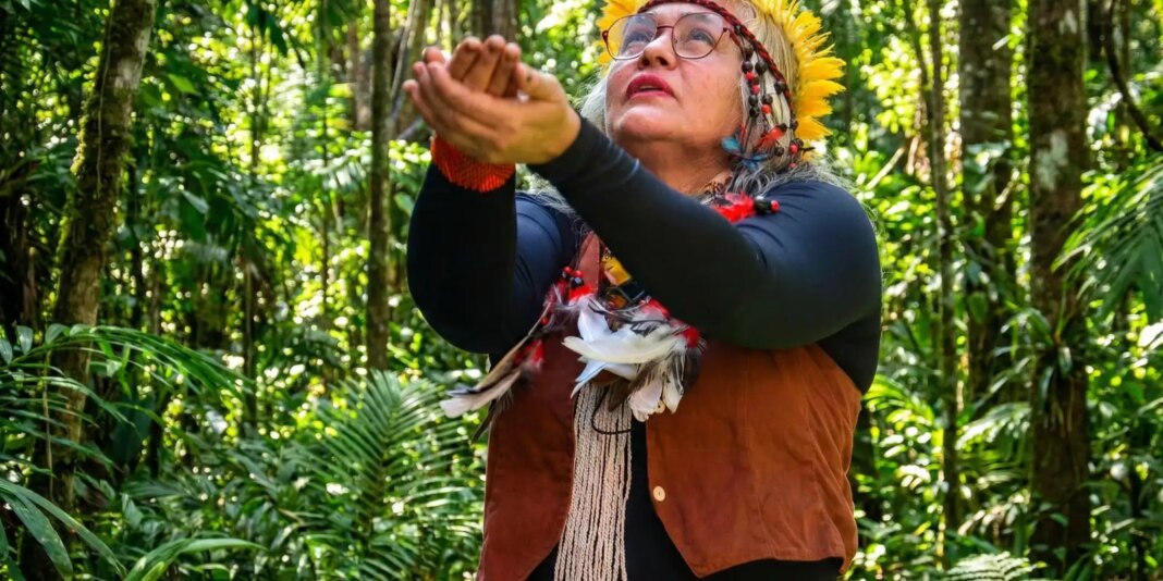 Museu Histórico da Cidade celebra saberes indígenas no Rio de Janeiro