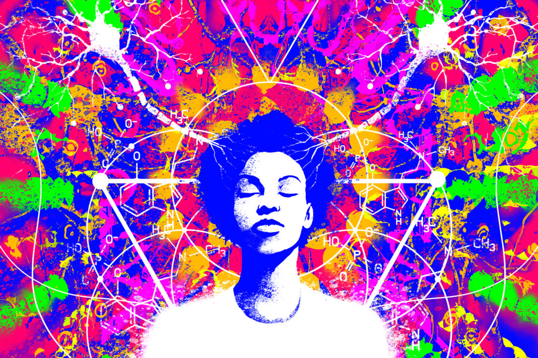 Psicodélicos: imagens mostram cérebro reconfigurado – 08/04/2026 – Virada Psicodélica